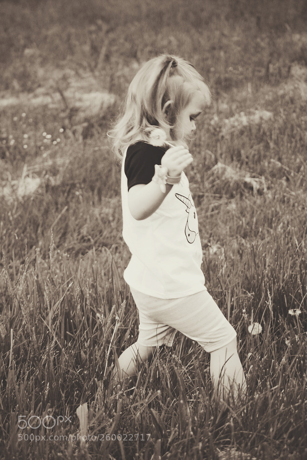 Canon EOS 600D (Rebel EOS T3i / EOS Kiss X5) sample photo. My little dutch girl photography