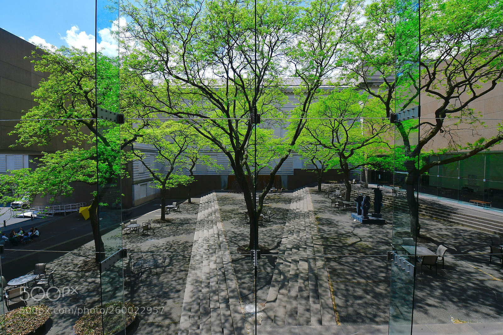 Nikon D500 sample photo. Urban spring photography