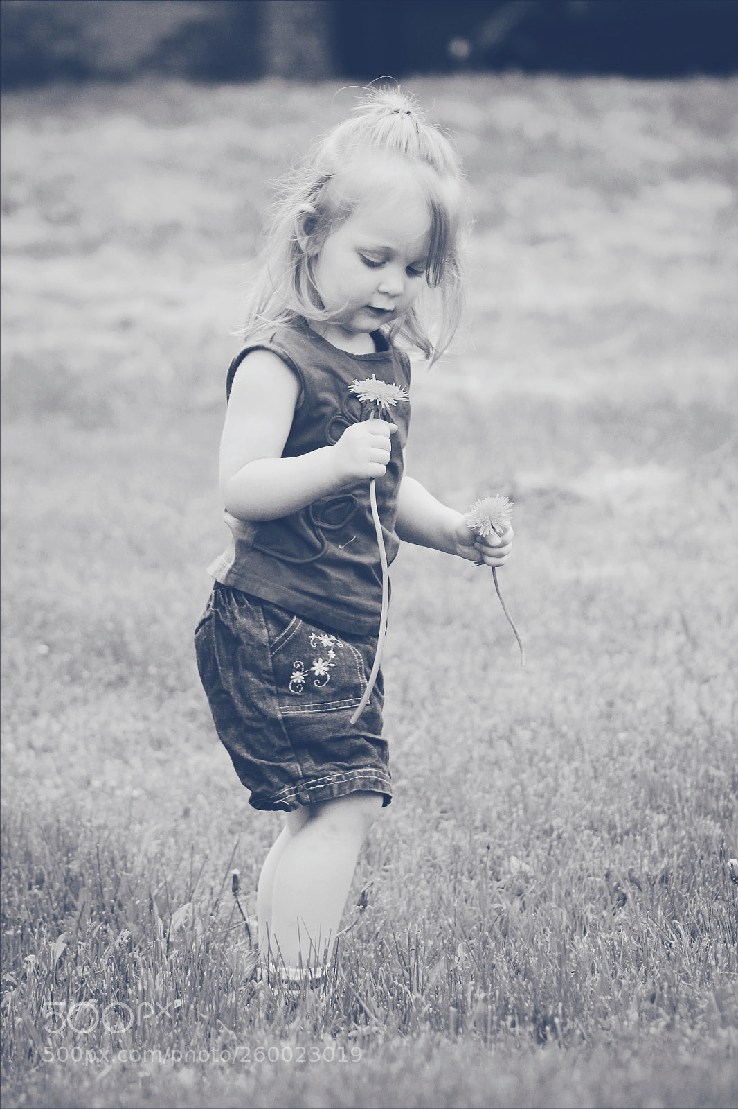 Canon EOS 600D (Rebel EOS T3i / EOS Kiss X5) sample photo. Sweet girl loves dandelions photography