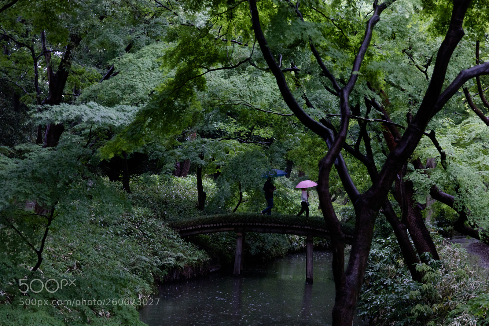 Canon EOS 750D (EOS Rebel T6i / EOS Kiss X8i) sample photo. Lost in translation photography