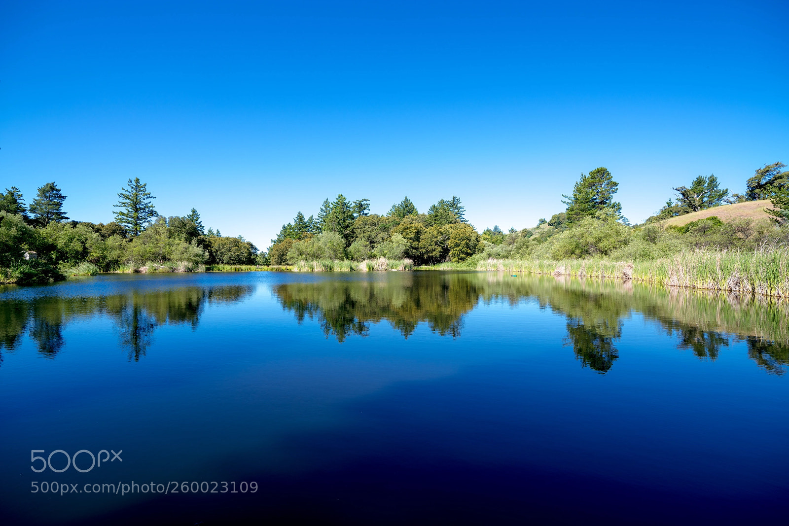Sony a7R III sample photo. Placid lake photography