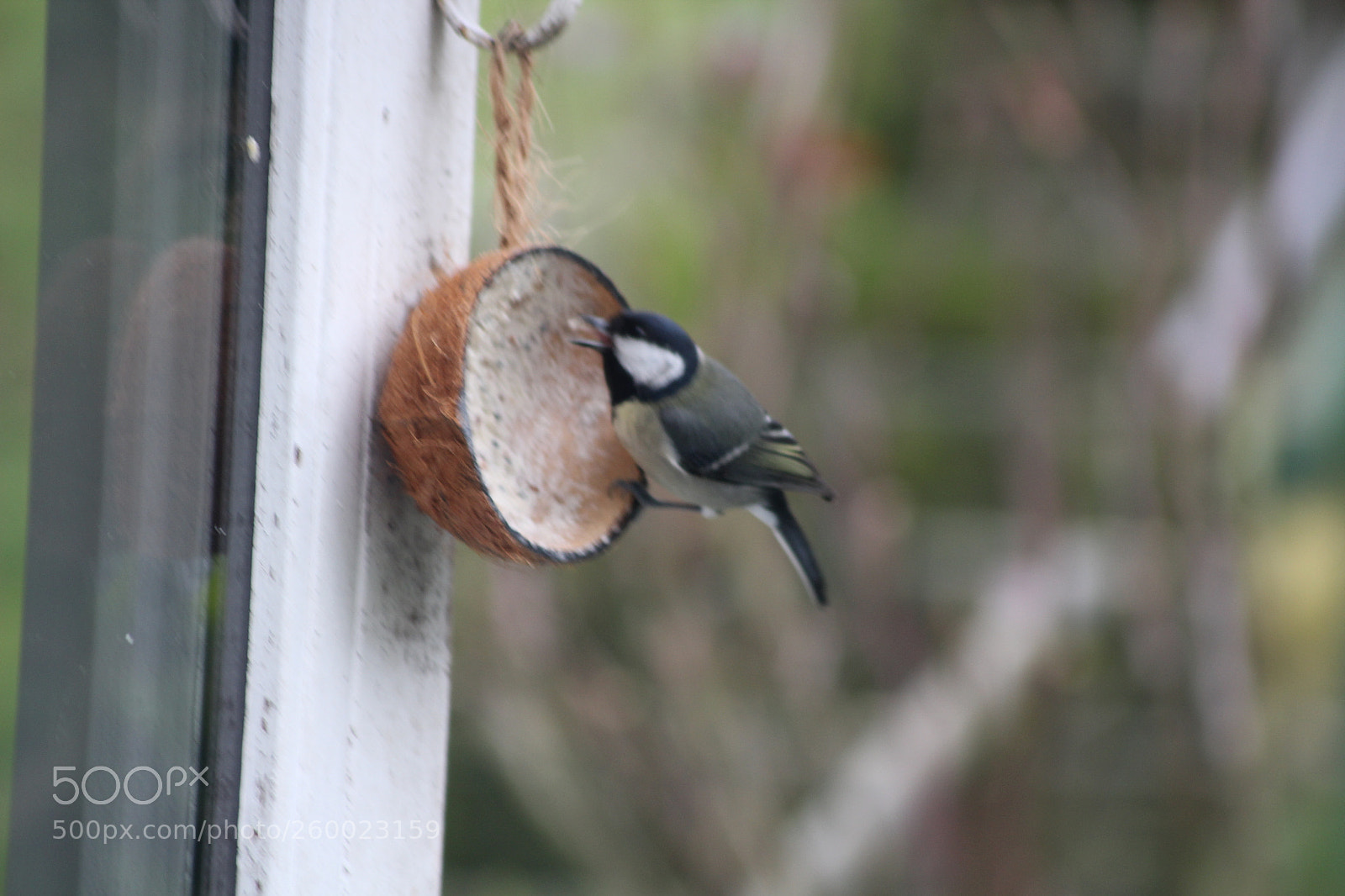 Canon EOS 1200D (EOS Rebel T5 / EOS Kiss X70 / EOS Hi) sample photo. Untitled photography