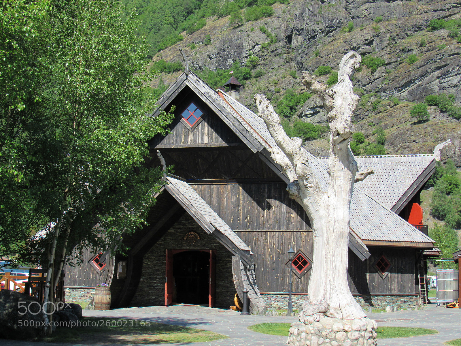 Canon PowerShot SX530 HS sample photo. Sculpted tree and norse photography