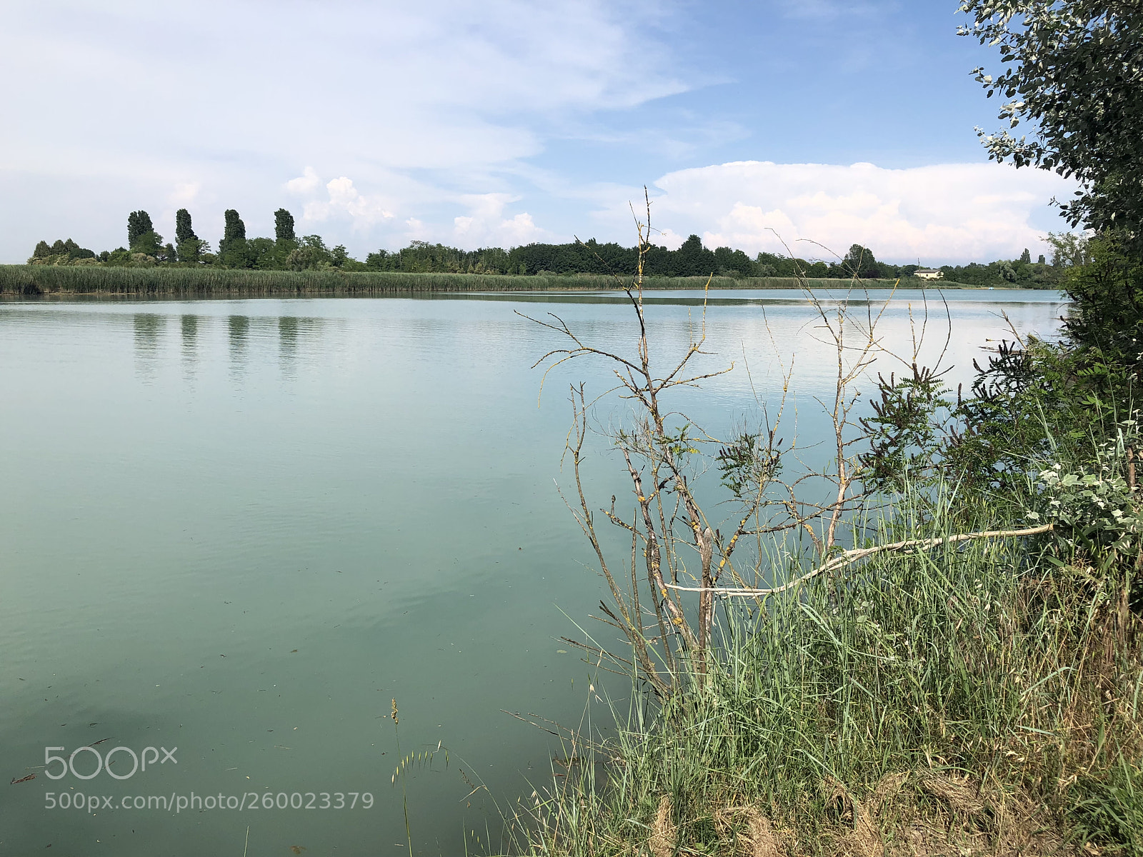 Apple iPhone 8 Plus sample photo. Piave  photography