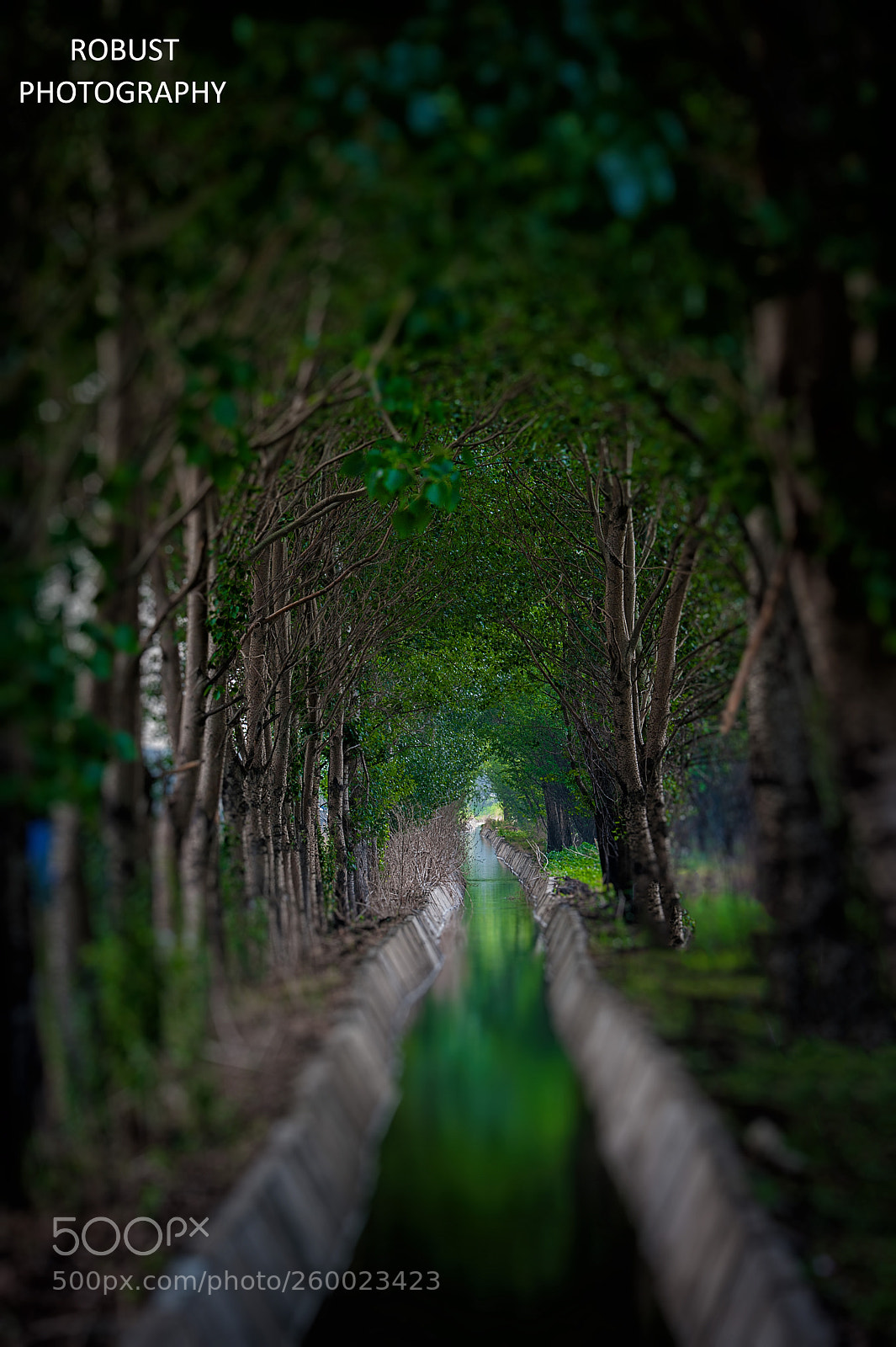 Nikon D700 sample photo. Untitled photography