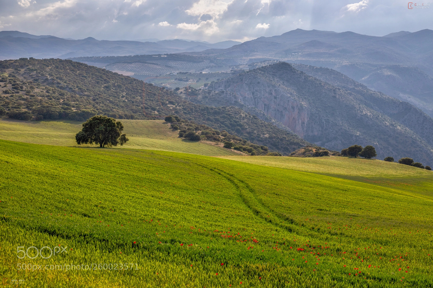 Canon EOS 5D Mark IV sample photo. Landscapes of lachar (granada) photography