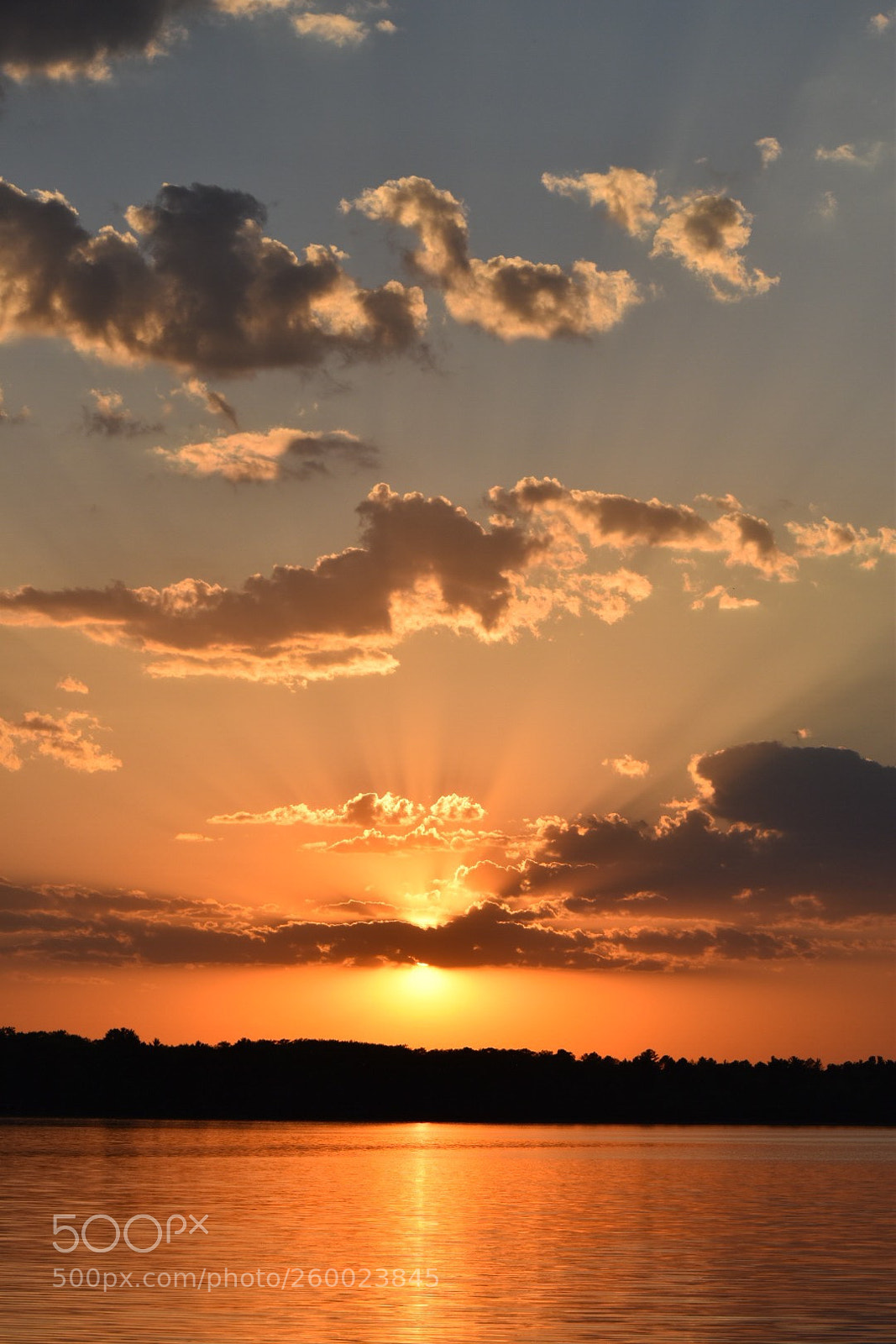 Nikon D5500 sample photo. Sunny cove sunset photography