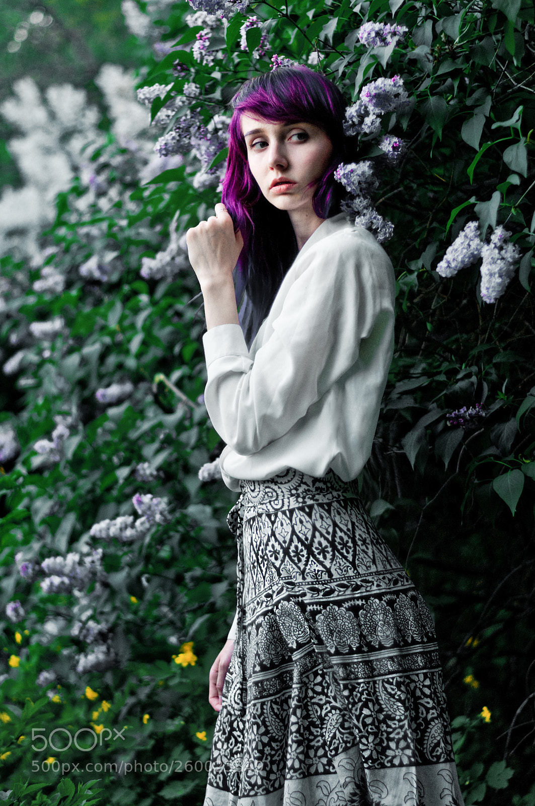 Nikon D300S sample photo. Flowers photography