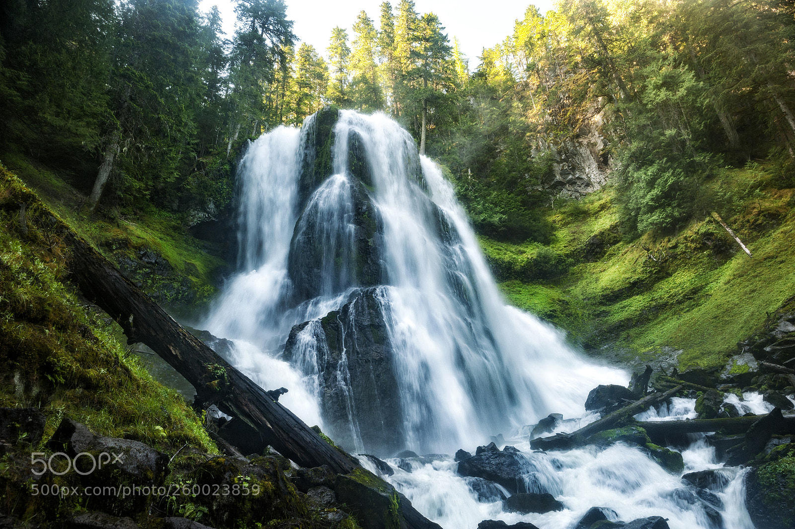 Nikon D700 sample photo. Upper falls creek falls photography