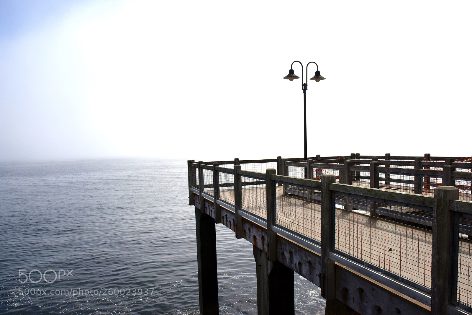 Nikon D810 sample photo. Without you photography