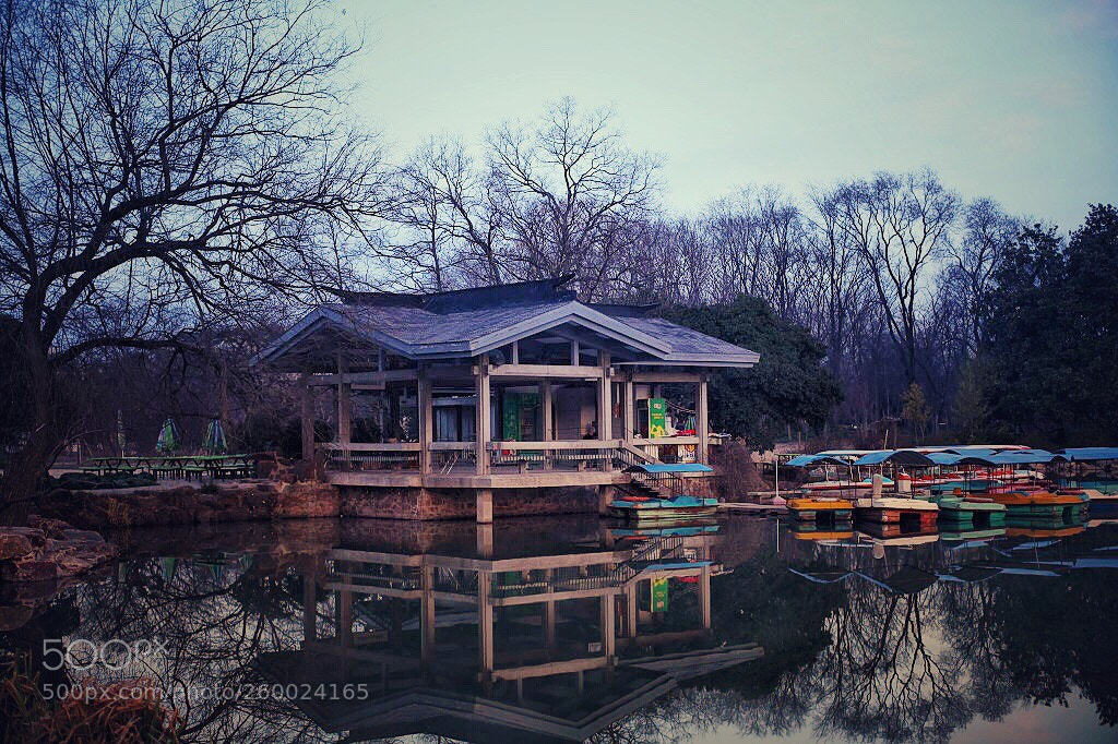 Canon EOS 5D Mark II sample photo. Untitled photography