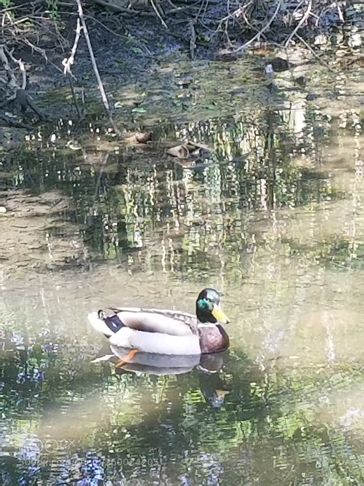 Samsung Galaxy S8 sample photo. Untitled photography