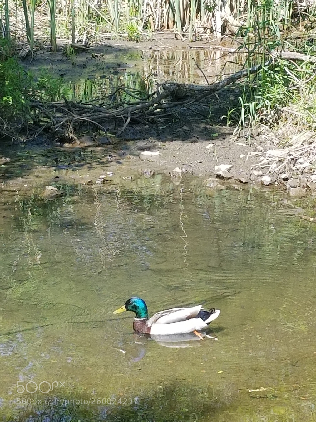 Samsung Galaxy S8 sample photo. Untitled photography