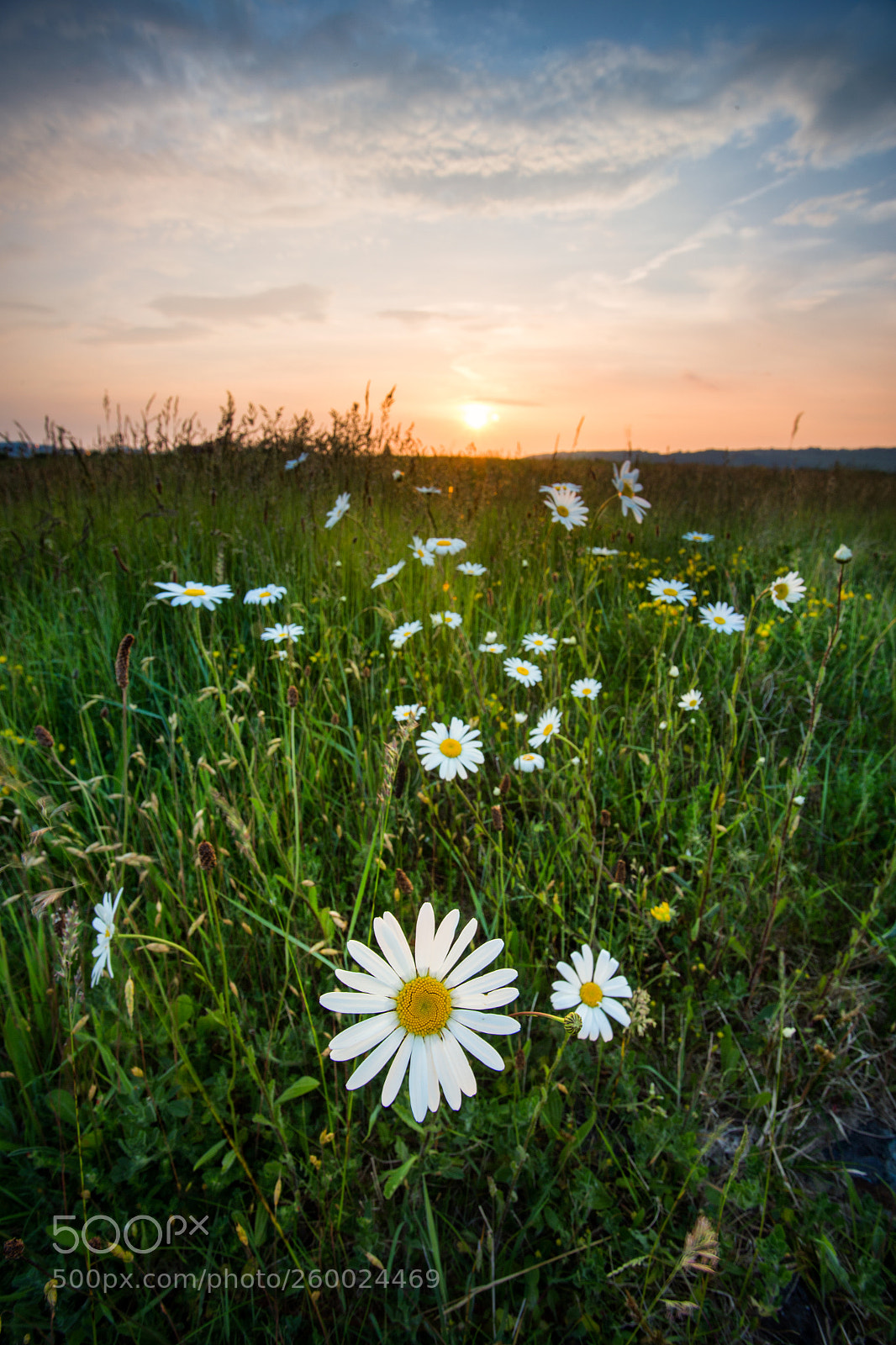 Canon EOS 6D sample photo. Edit photography