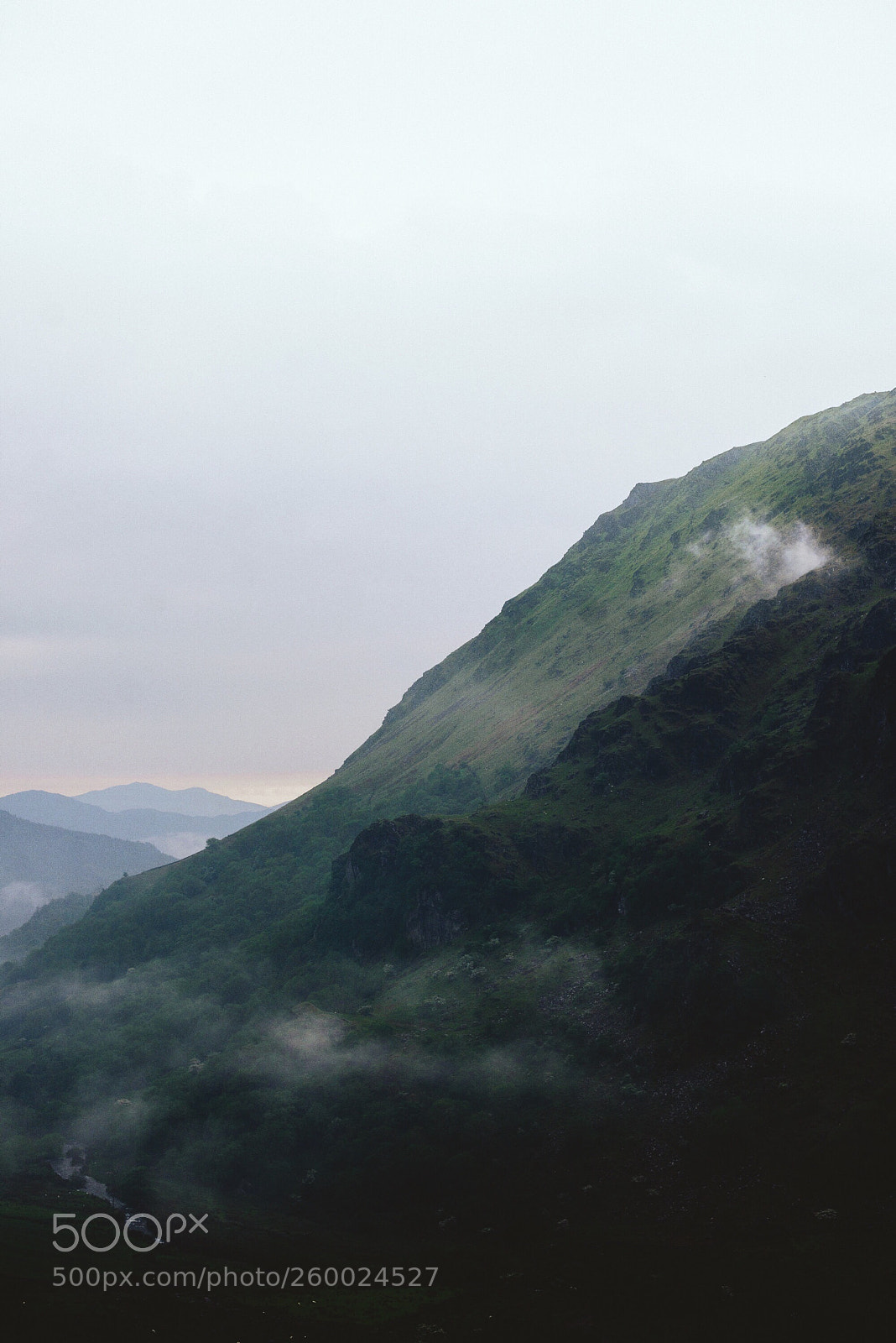 Nikon D800 sample photo. Foggy trails photography