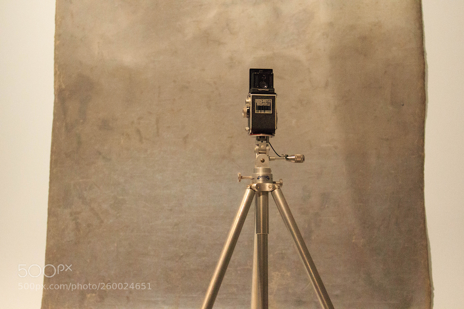 Canon EOS 700D (EOS Rebel T5i / EOS Kiss X7i) sample photo. Irving penn's set-up photography