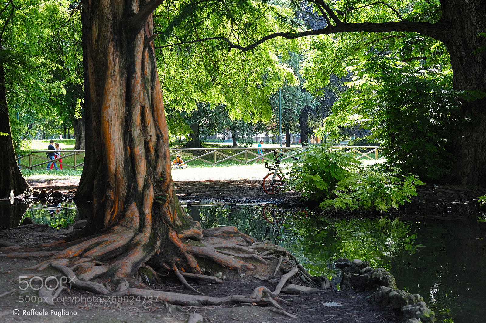 Nikon D3 sample photo. Sempione park photography