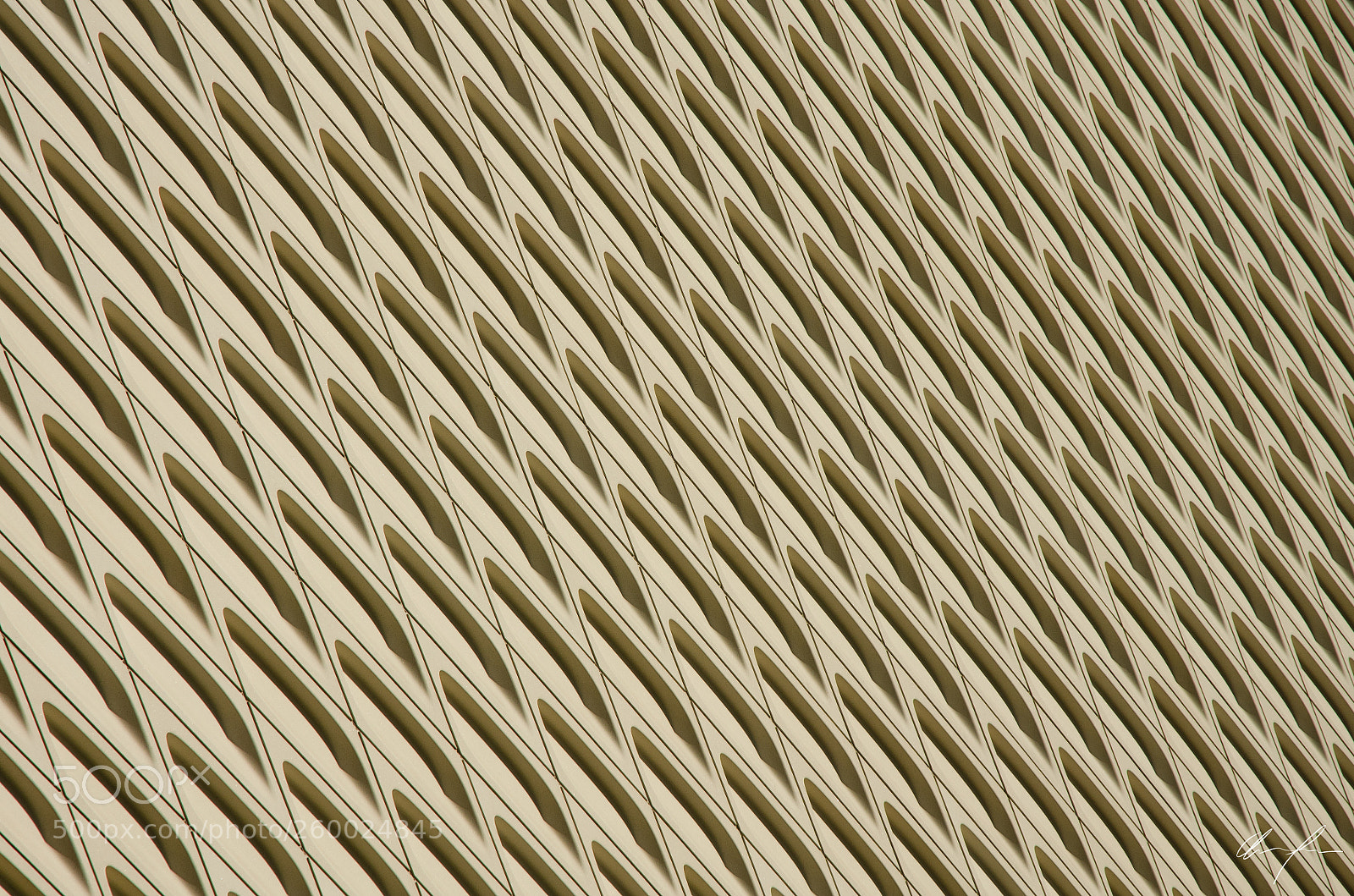 Nikon D5100 sample photo. Texture photography