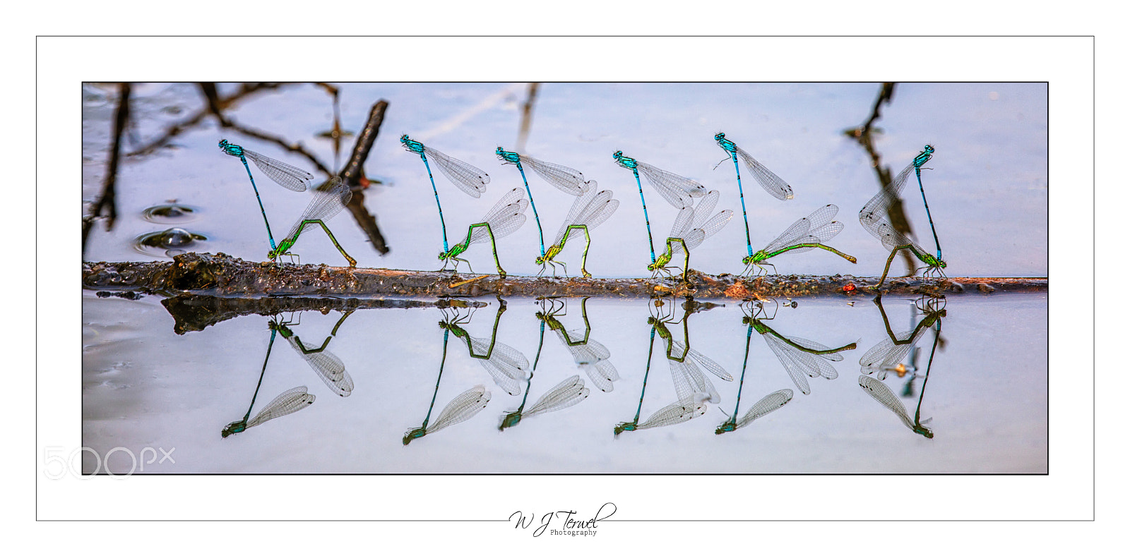 Canon EOS 5D Mark IV sample photo. Untitled photography