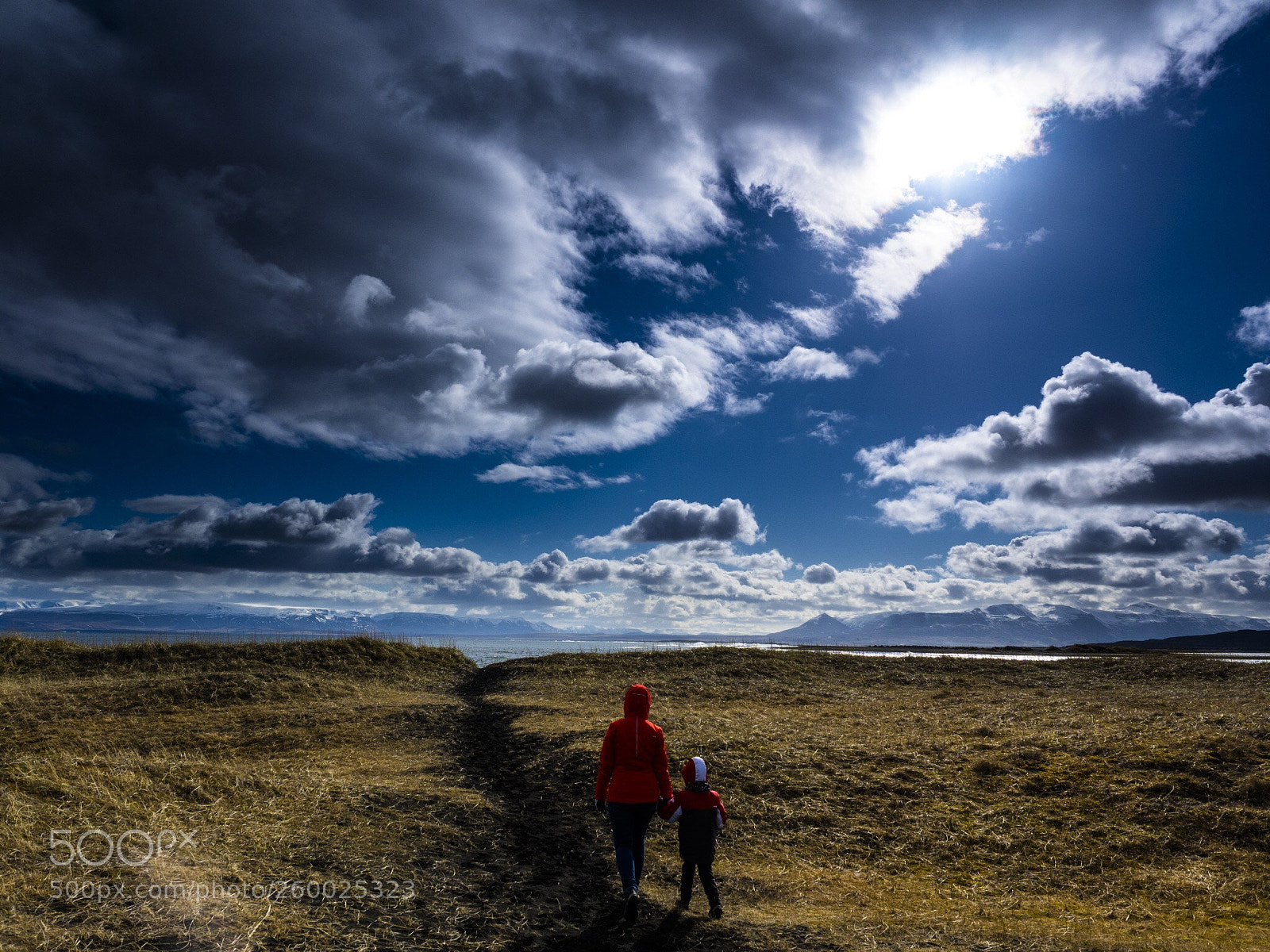Olympus OM-D E-M1 sample photo. Walking through iceland  photography