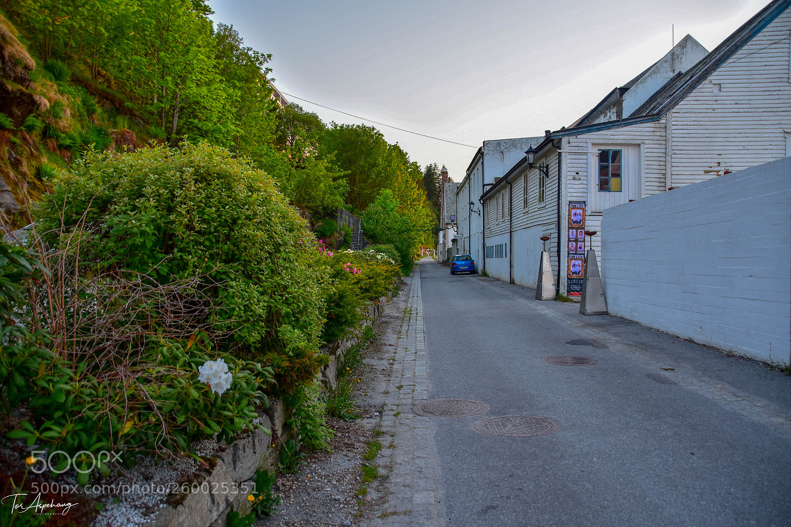 Nikon D7200 sample photo. Molovegen photography