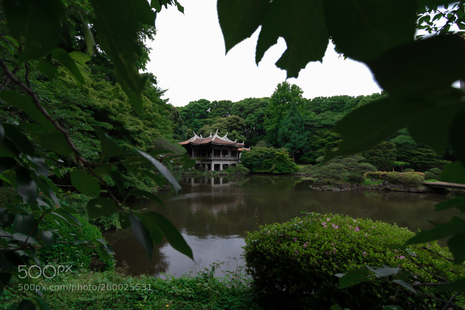 Canon EOS 750D (EOS Rebel T6i / EOS Kiss X8i) sample photo. Tokyo, japan photography