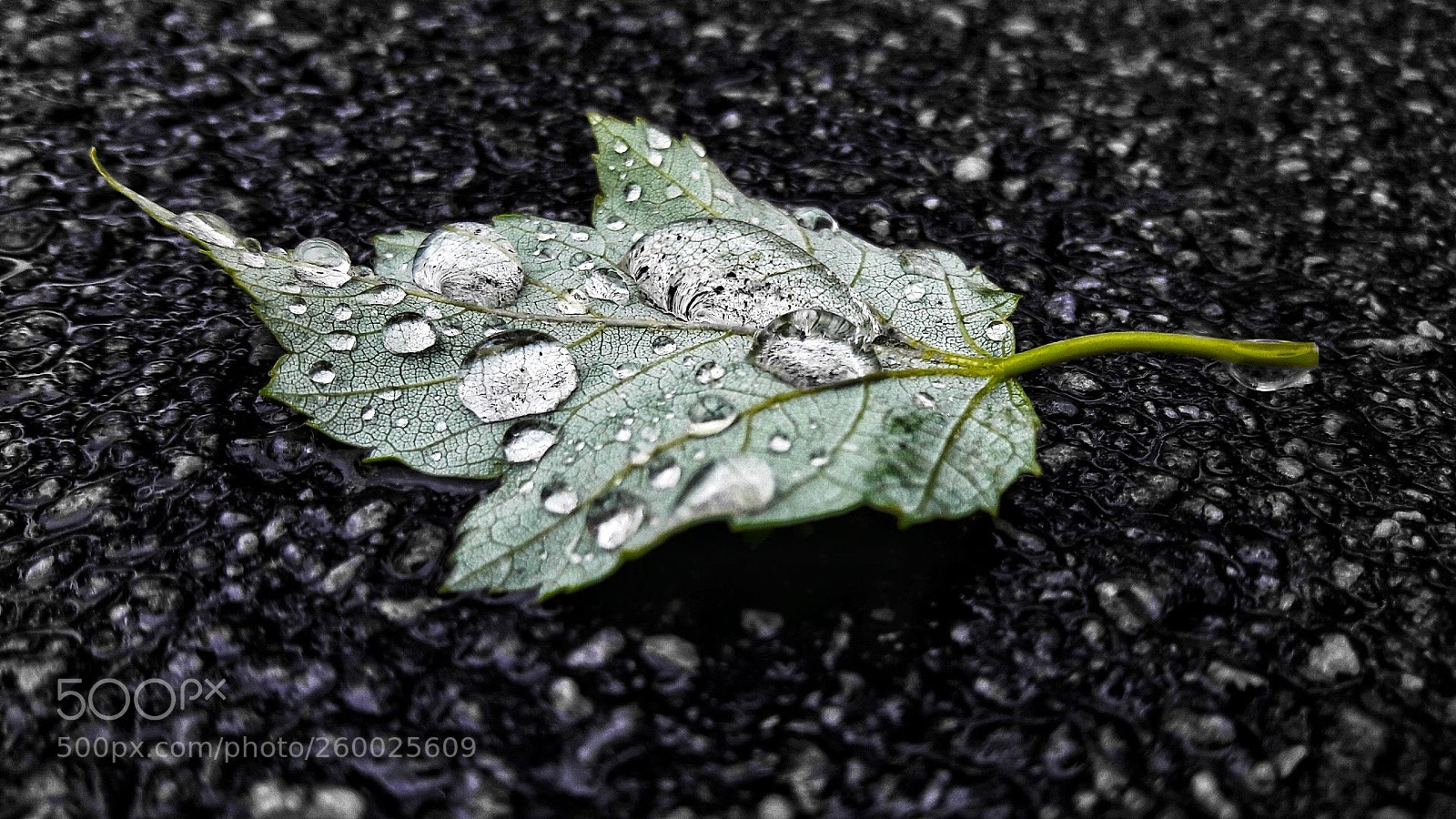 Samsung Galaxy A5(2016) sample photo. Colours in rain photography