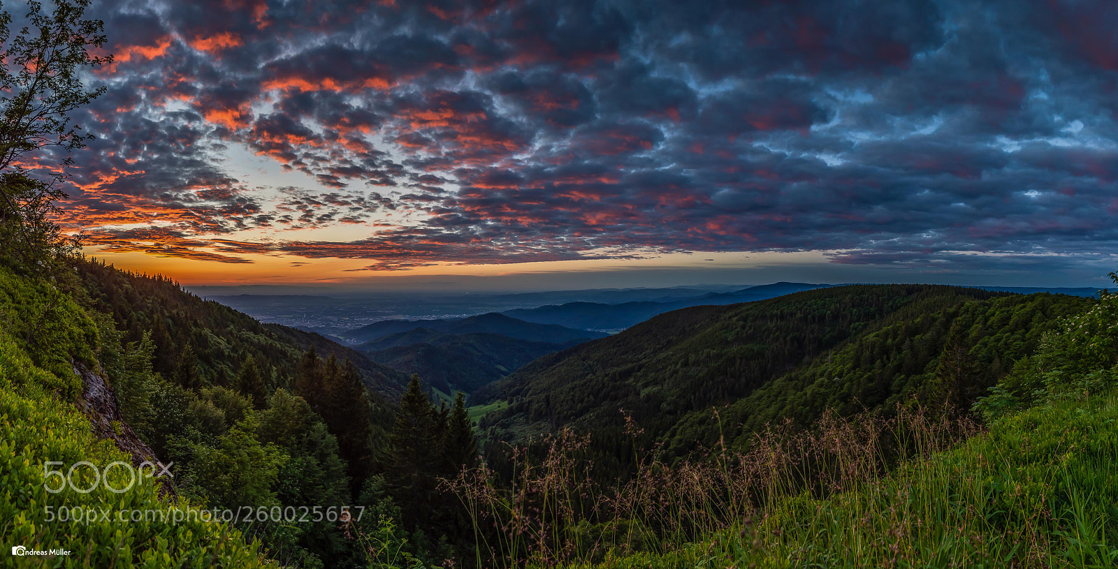 Nikon D810 sample photo. Sunset in the black photography