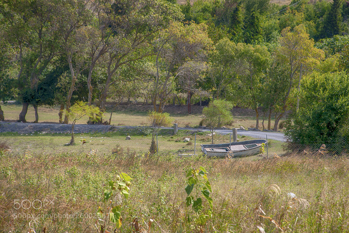 Nikon D90 sample photo. Anhydrous photography
