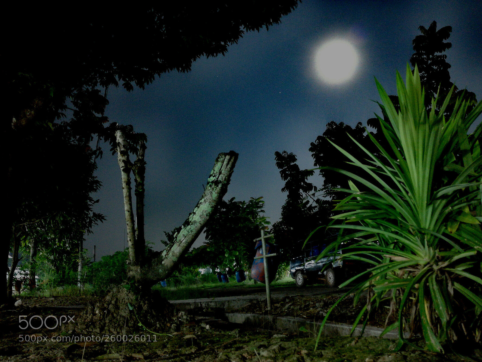 HUAWEI P9 LITE sample photo. Nature painting photography