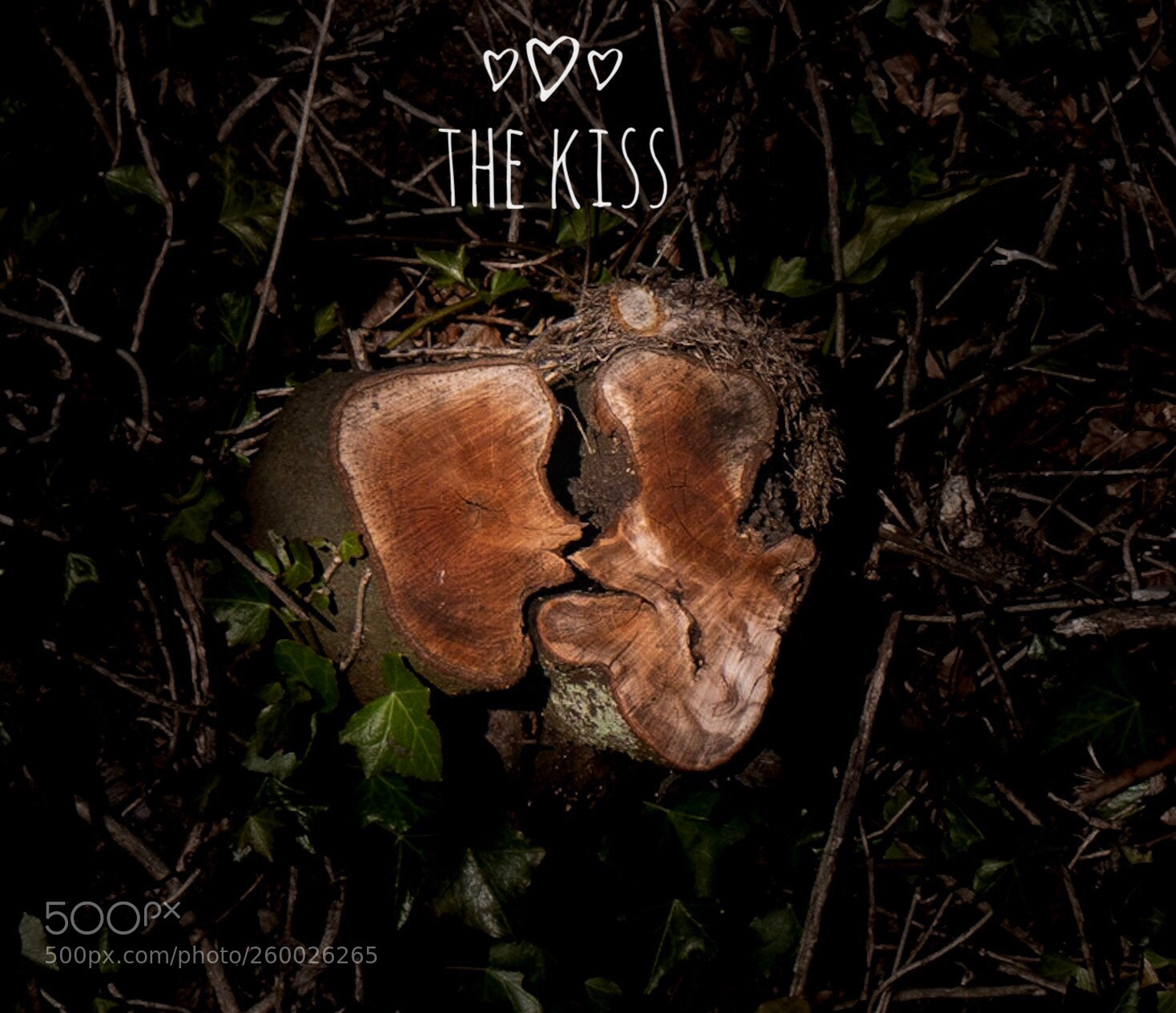 Panasonic Lumix DMC-GX7 sample photo. The kissing trees photography