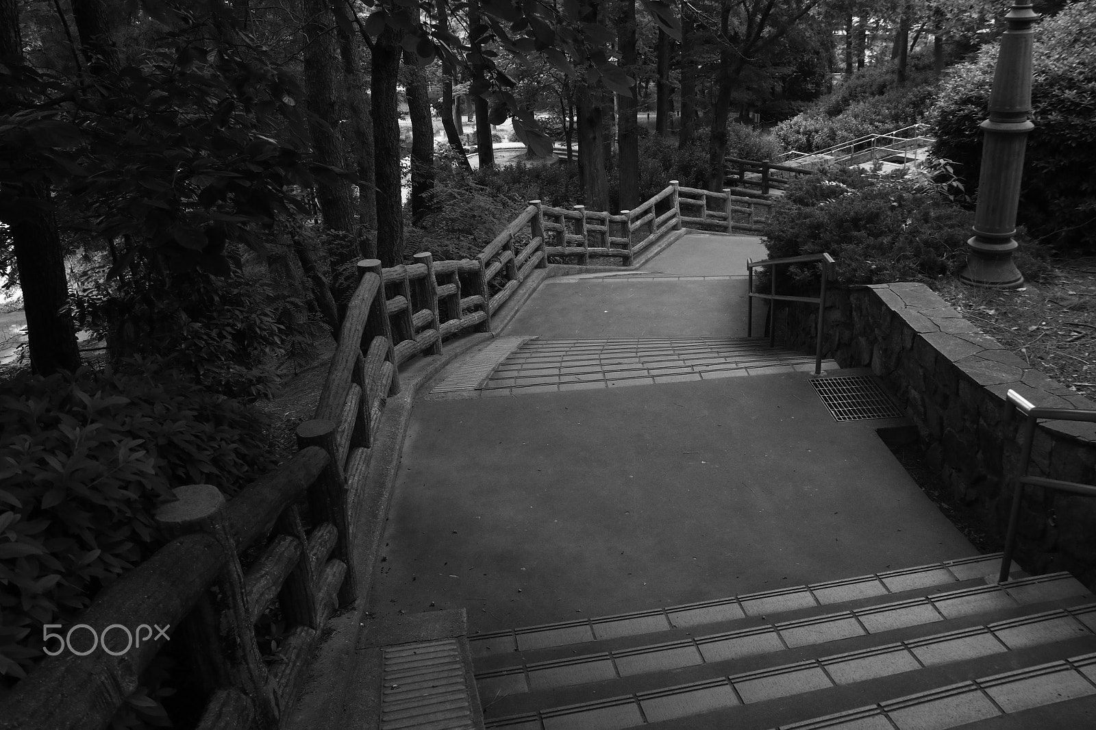 Canon EOS M6 sample photo. Pathway photography
