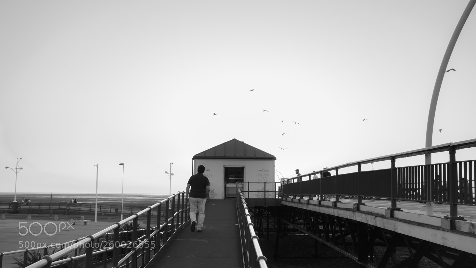 Sony Cyber-shot DSC-RX100 sample photo. Pier path photography