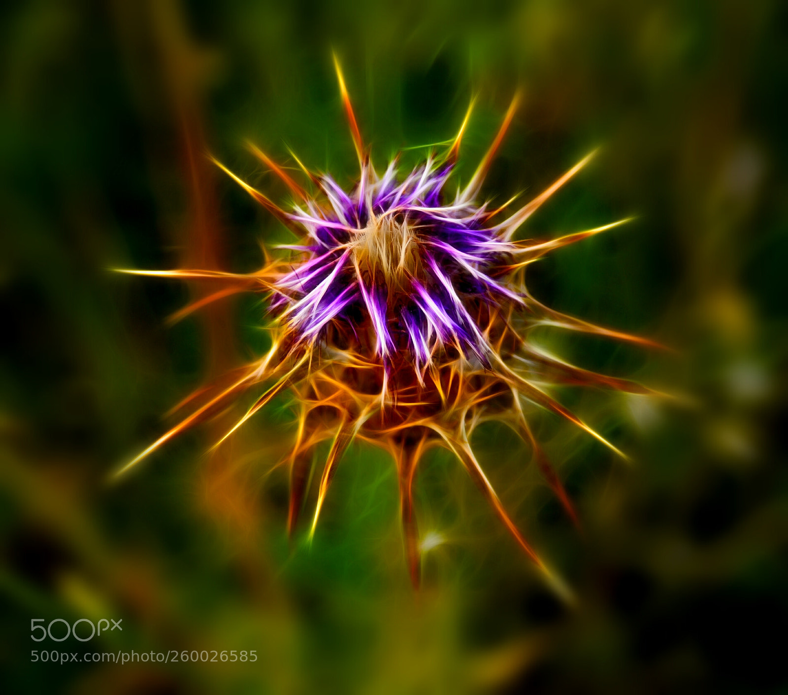 Nikon D300 sample photo. Abstract photography