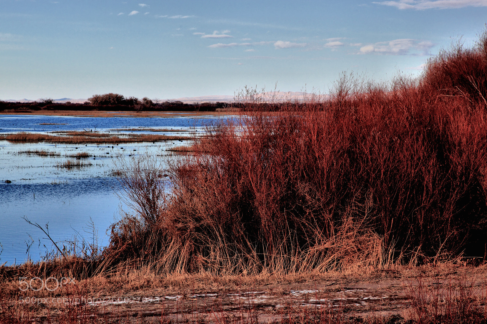 Canon EOS 5D Mark II sample photo. Bosquedel photography