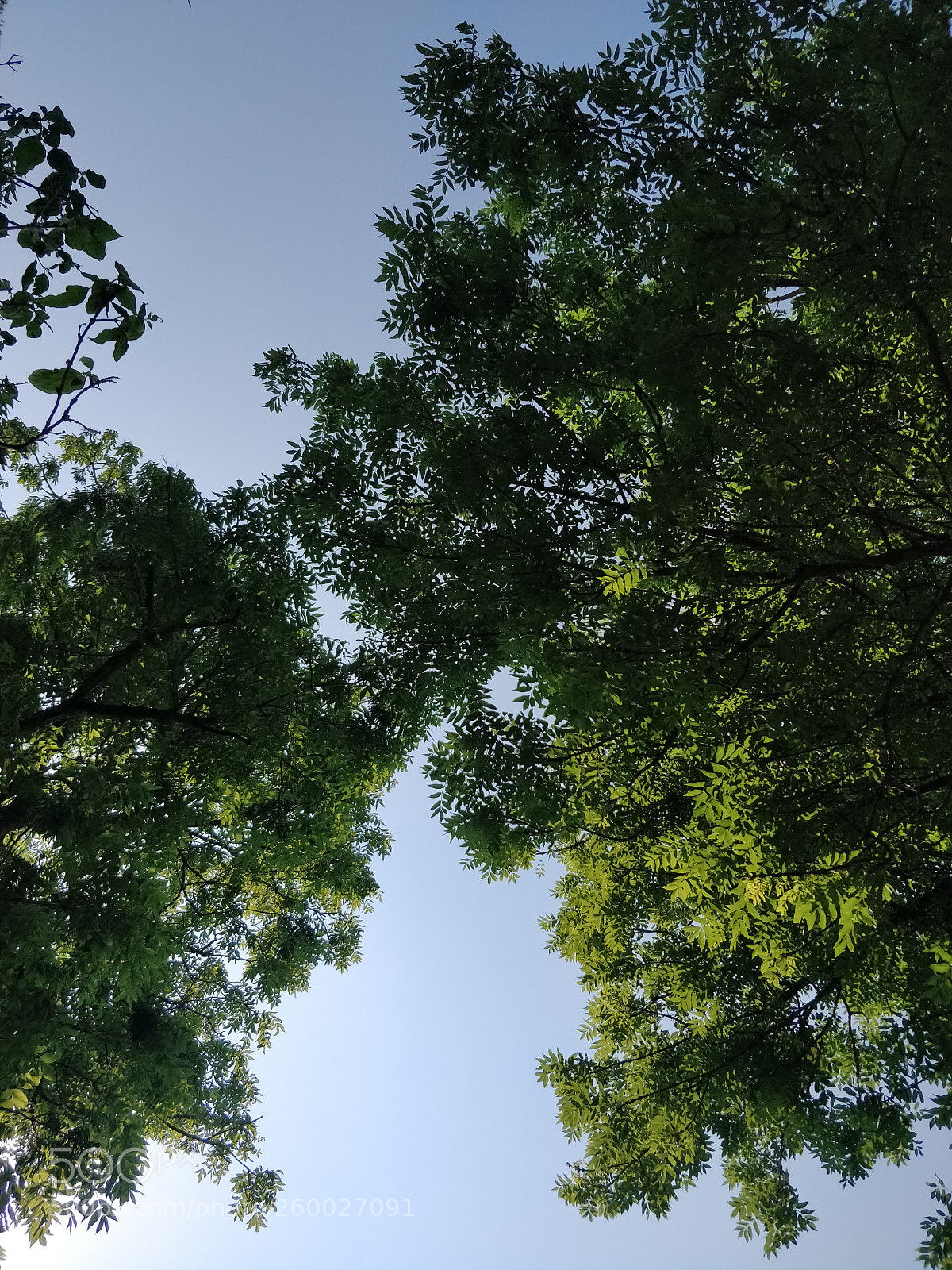 OnePlus 5 sample photo. One last look photography