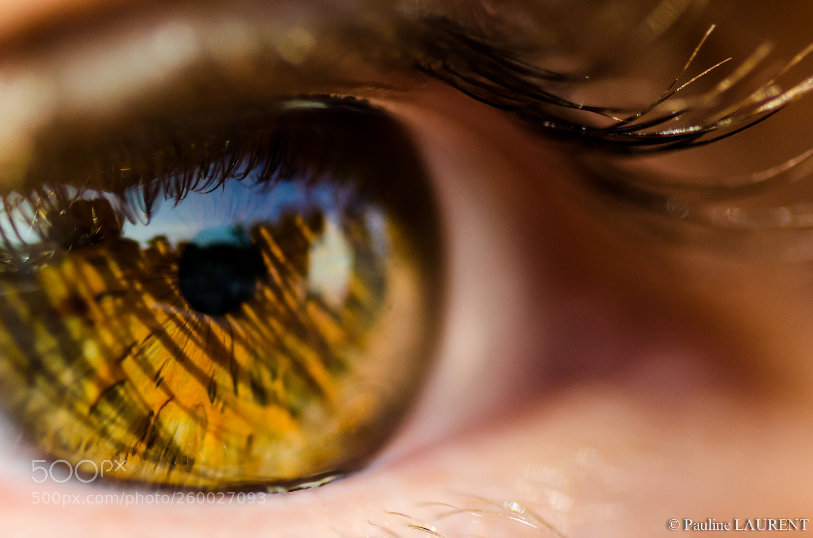 Nikon D5100 sample photo. Oeil photography