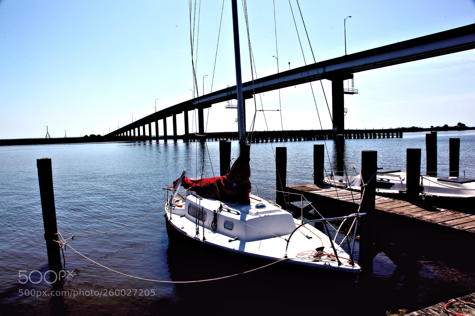 Canon EOS 5D Mark II sample photo. 022.jpg photography