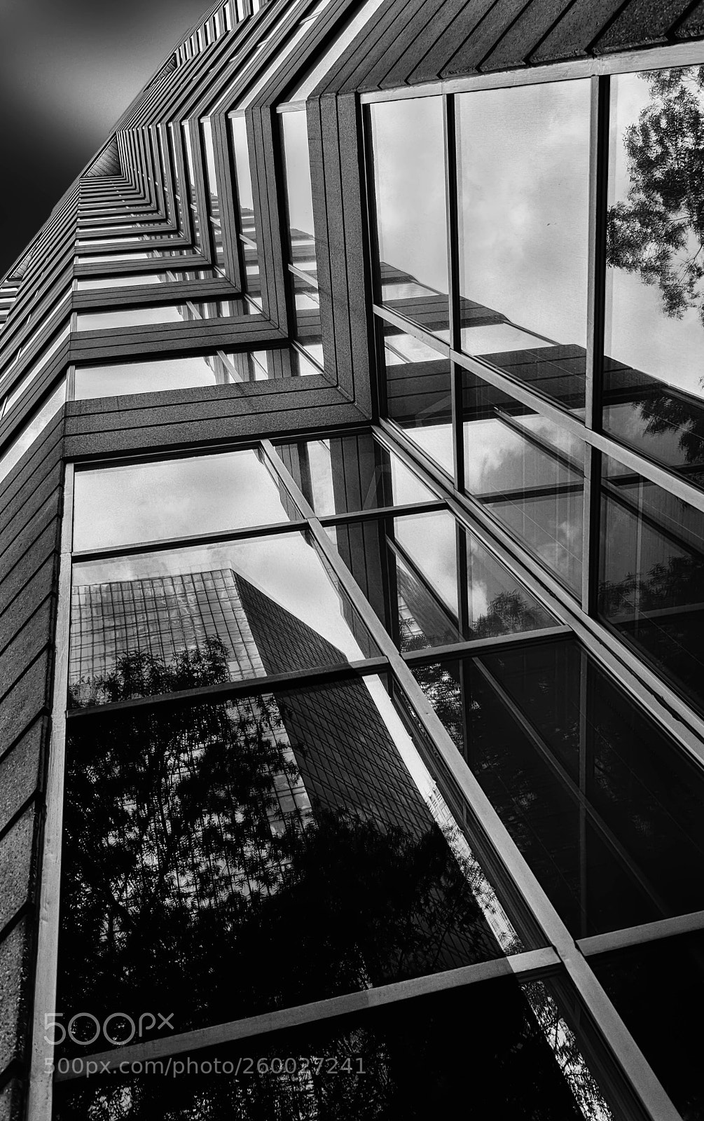 Nikon D5300 sample photo. First citizen bank photography