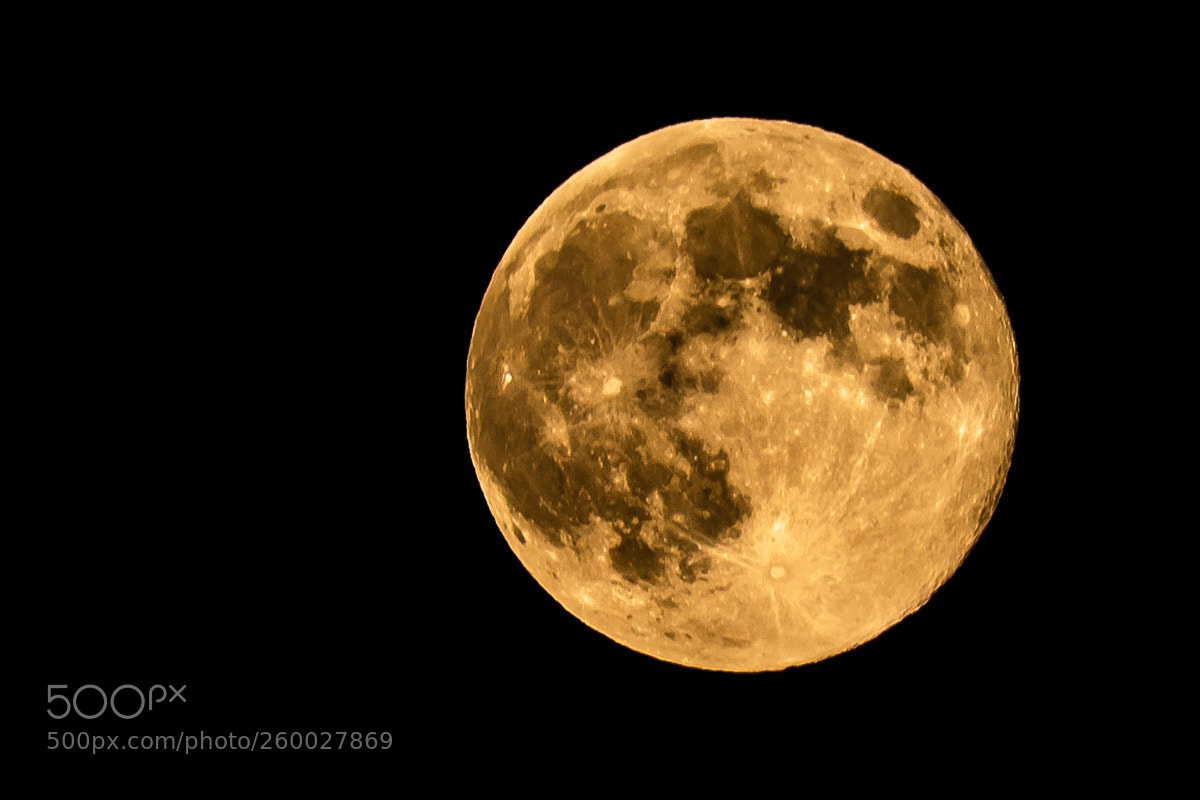 Nikon D810 sample photo. Moon photography