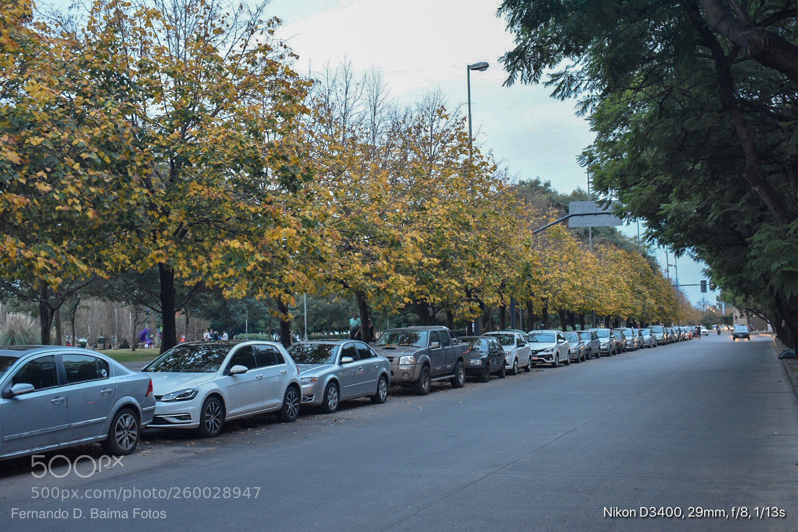 Nikon D3400 sample photo. Cimetría pura  photography
