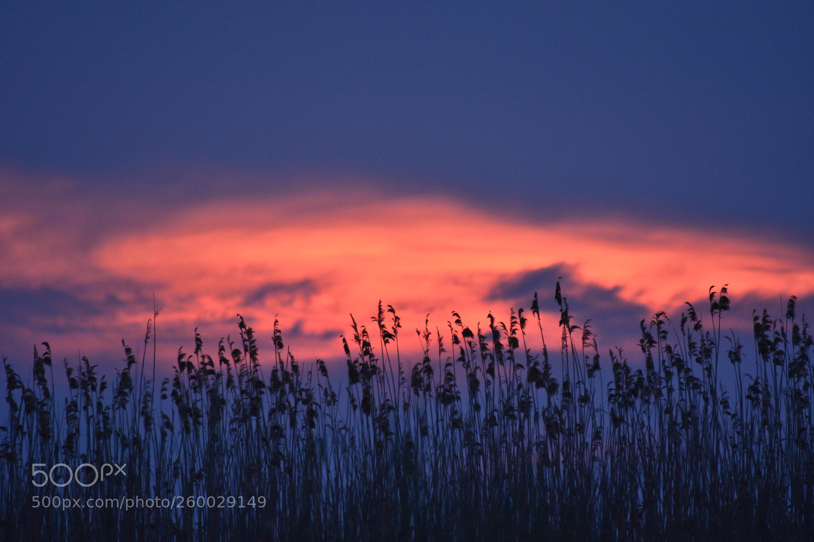 Nikon D5200 sample photo. Marsh sunset photography