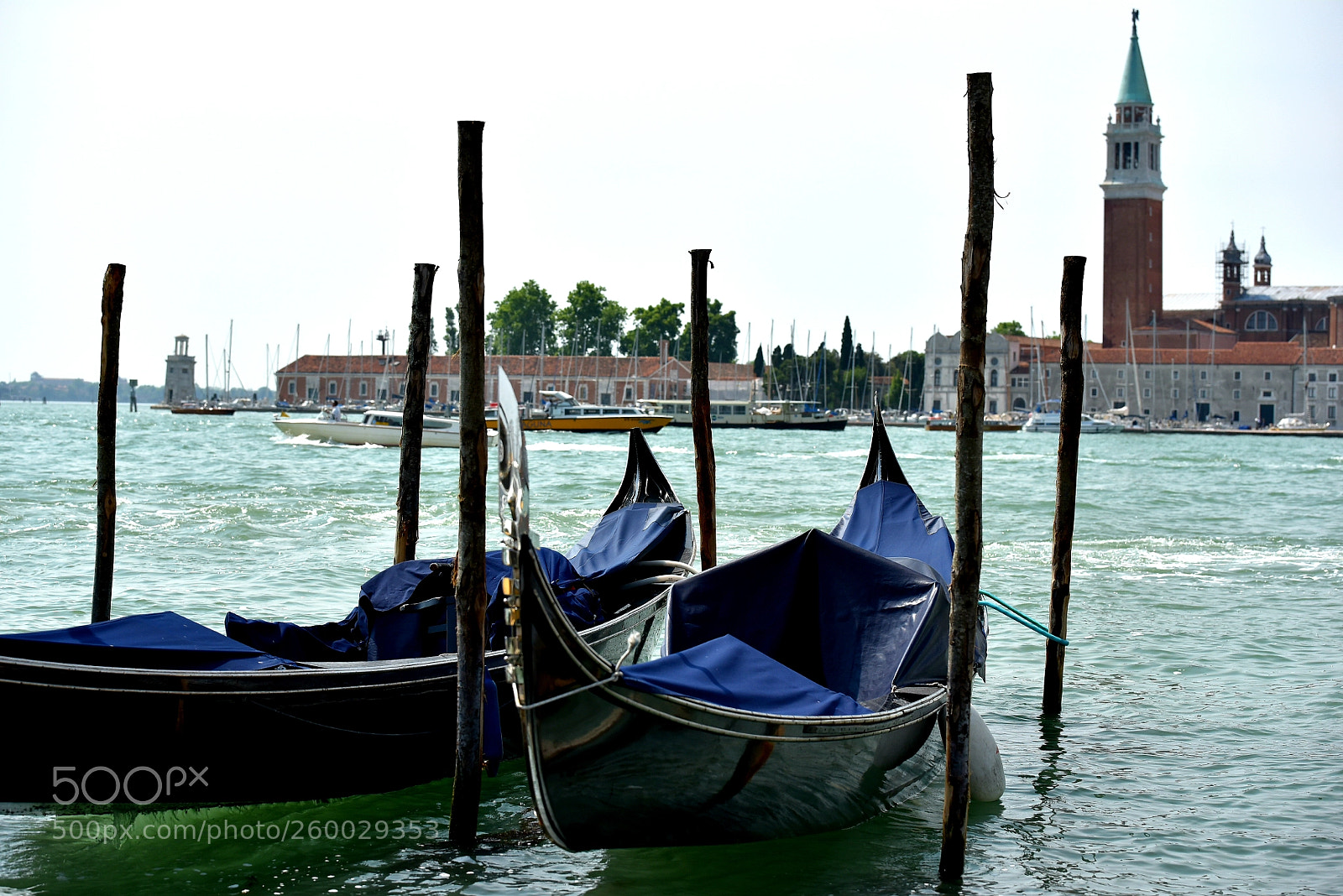 Nikon D750 sample photo. Venice gondolas..... photography