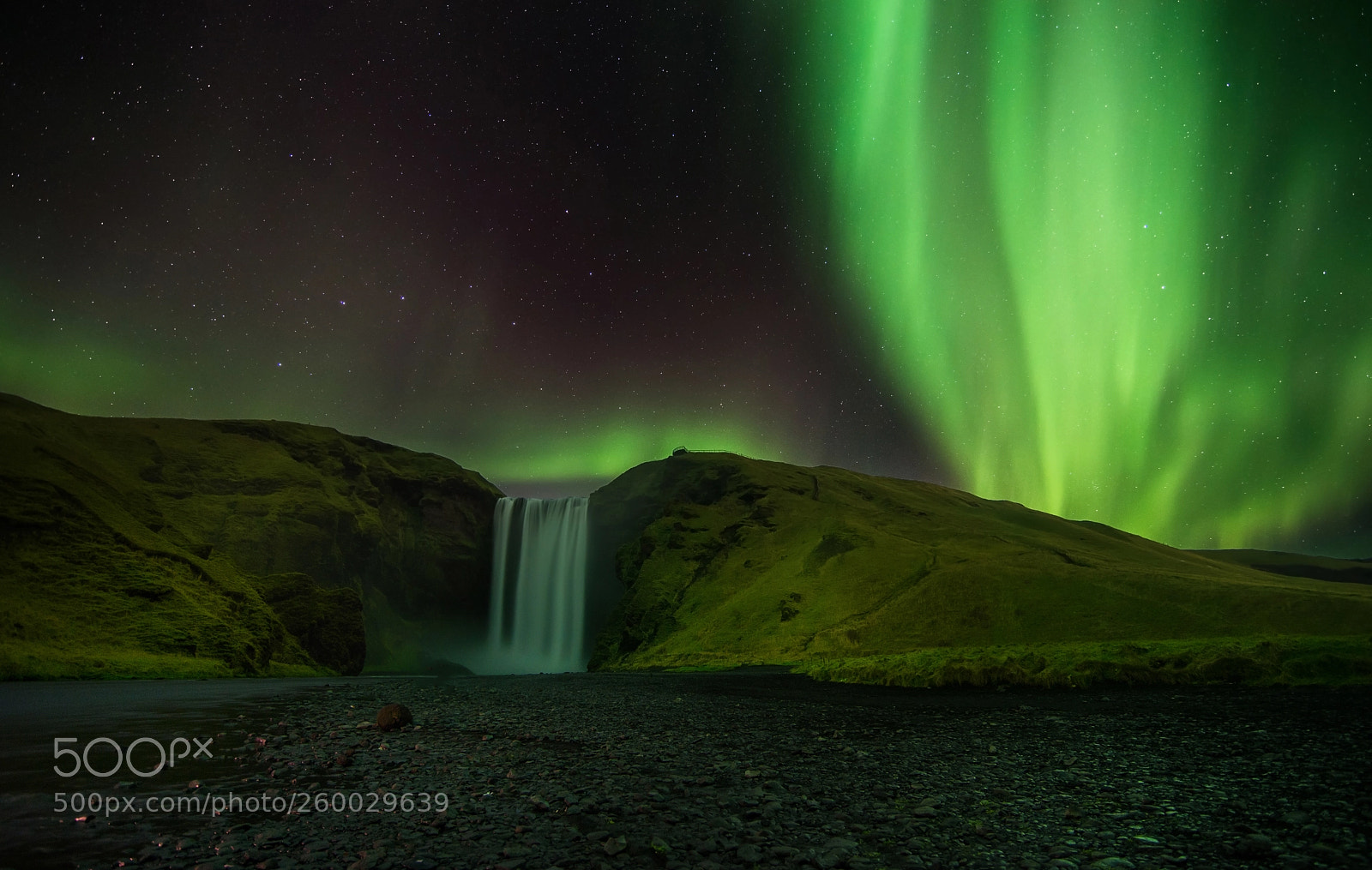 Nikon D610 sample photo. The green night photography