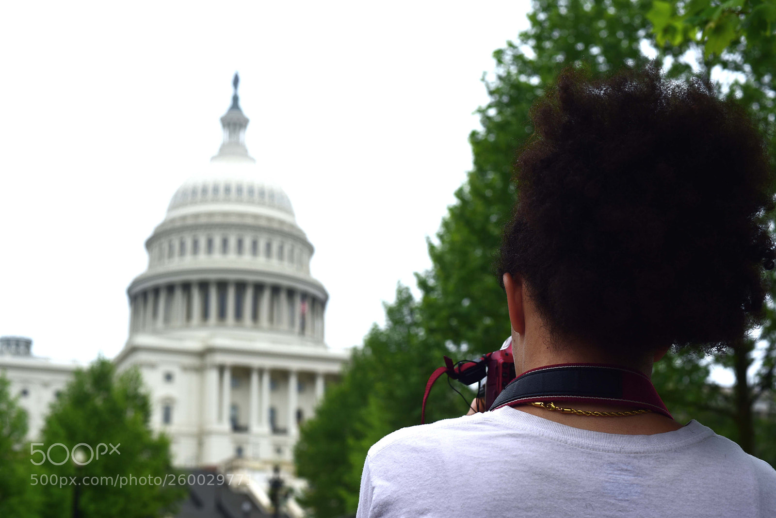 Nikon D750 sample photo. Teach them to lead photography