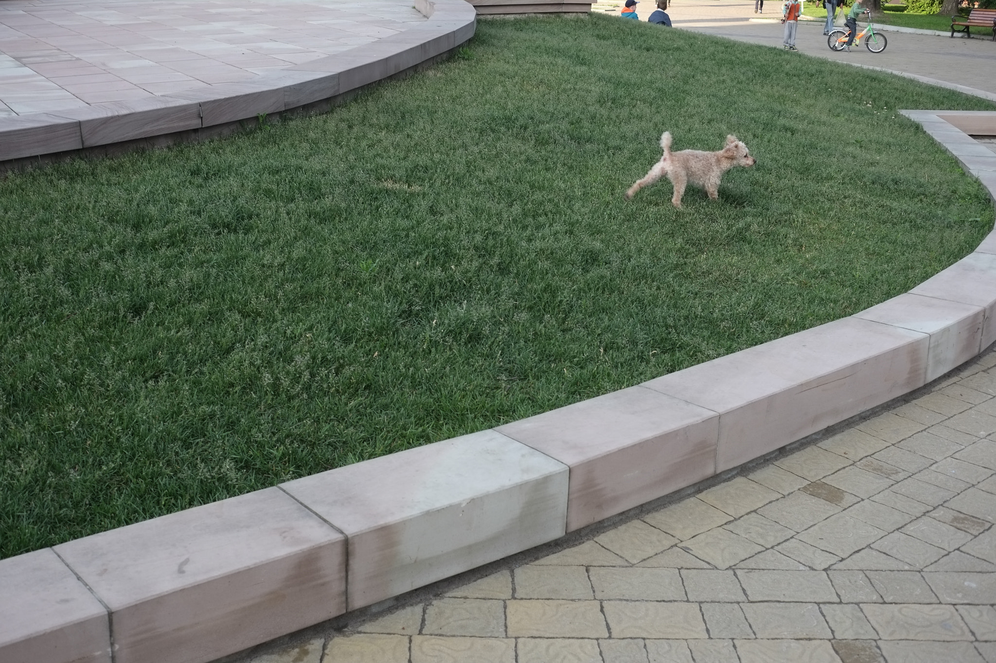 Fujifilm X-Pro1 sample photo