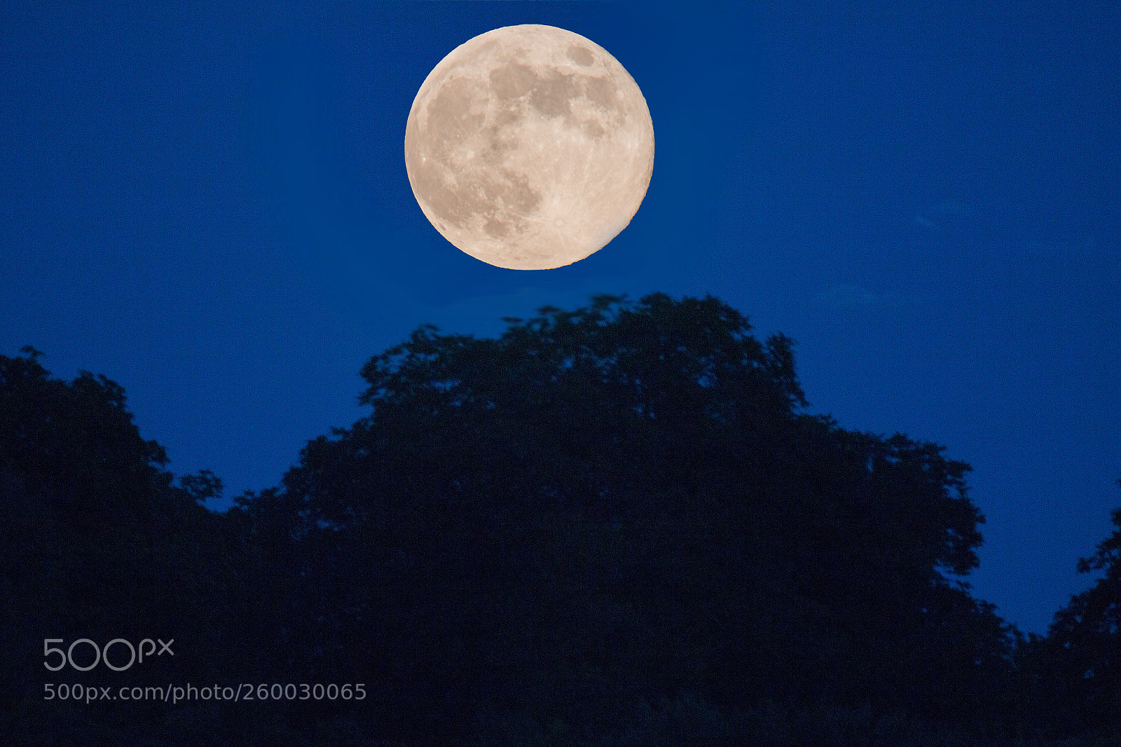 Canon EOS 70D sample photo. Fullmoon photography