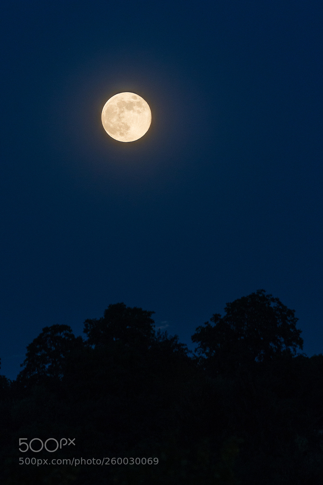Canon EOS 70D sample photo. Fullmoon photography