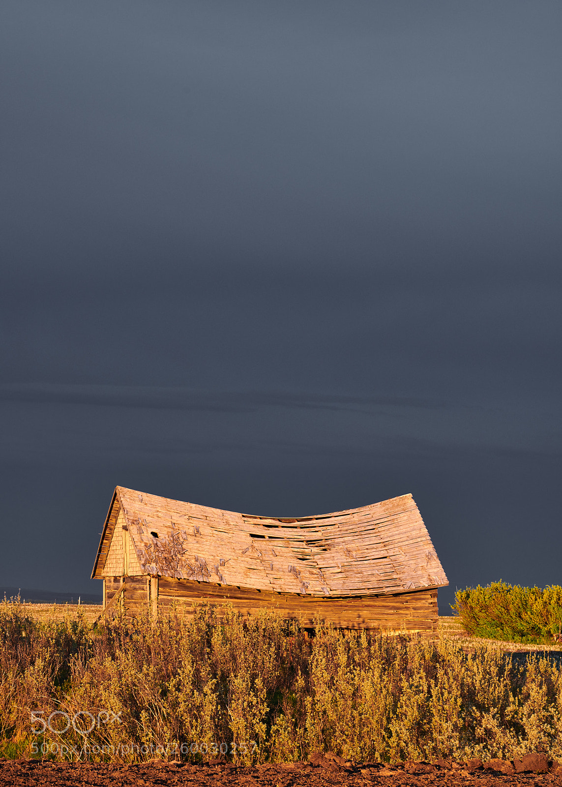 Nikon D850 sample photo. Old house against rain photography