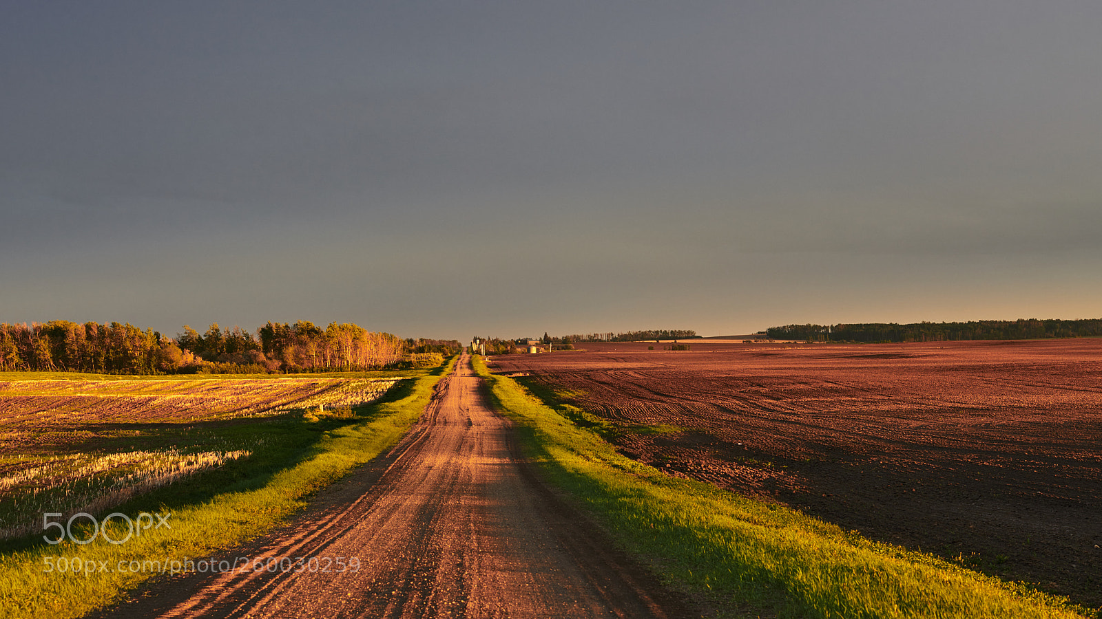 Nikon D850 sample photo. Rolla road spring sunset photography